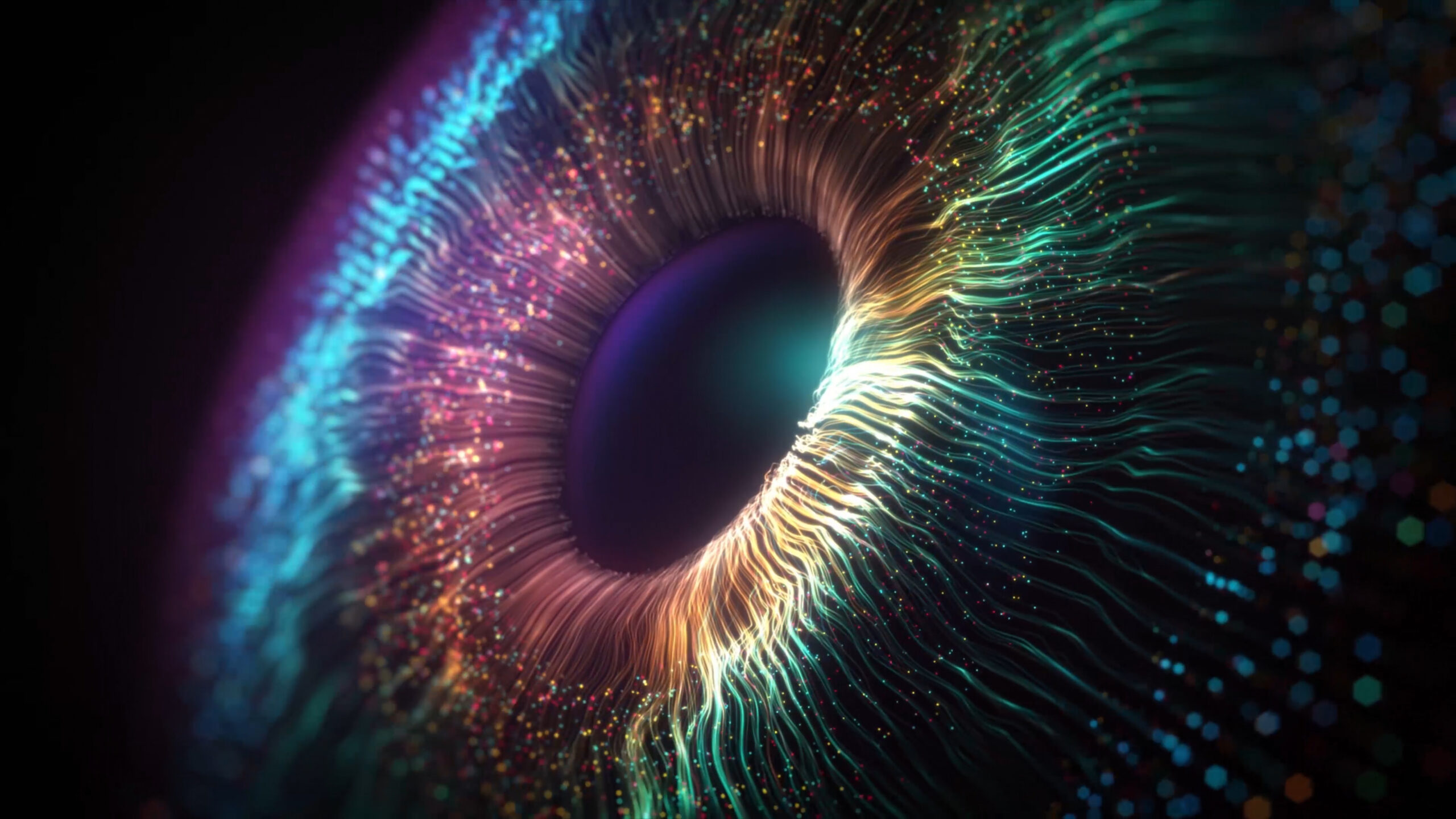 iris serious game